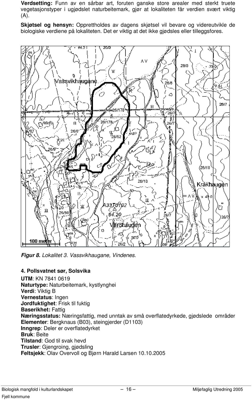 Vassvikhaugane, Vindenes. 4.