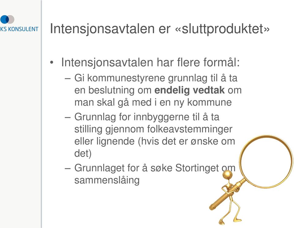 i en ny kommune Grunnlag for innbyggerne til å ta stilling gjennom