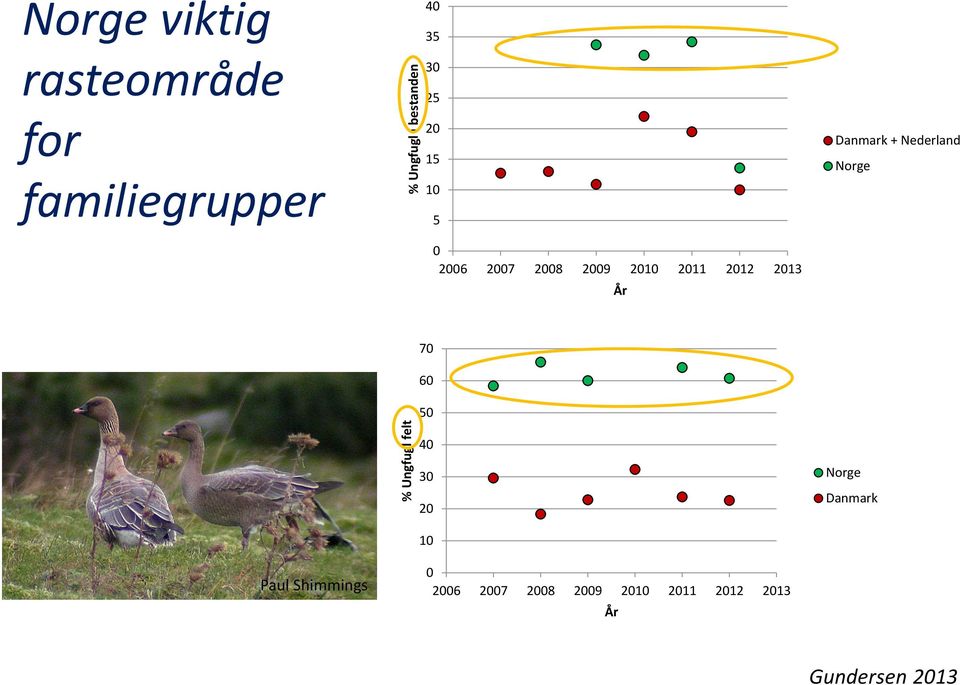 2012 2013 År Danmark + Nederland Norge 70 60 50 Paul Shimmings 40 30