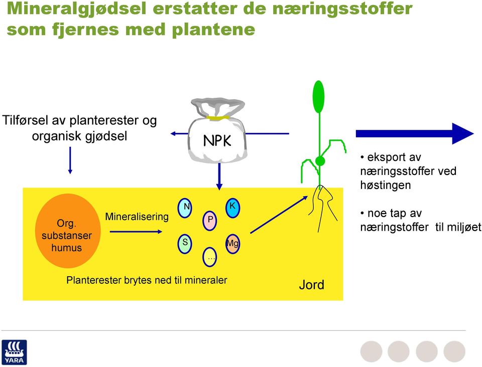 næringsstoffer ved høstingen Org.