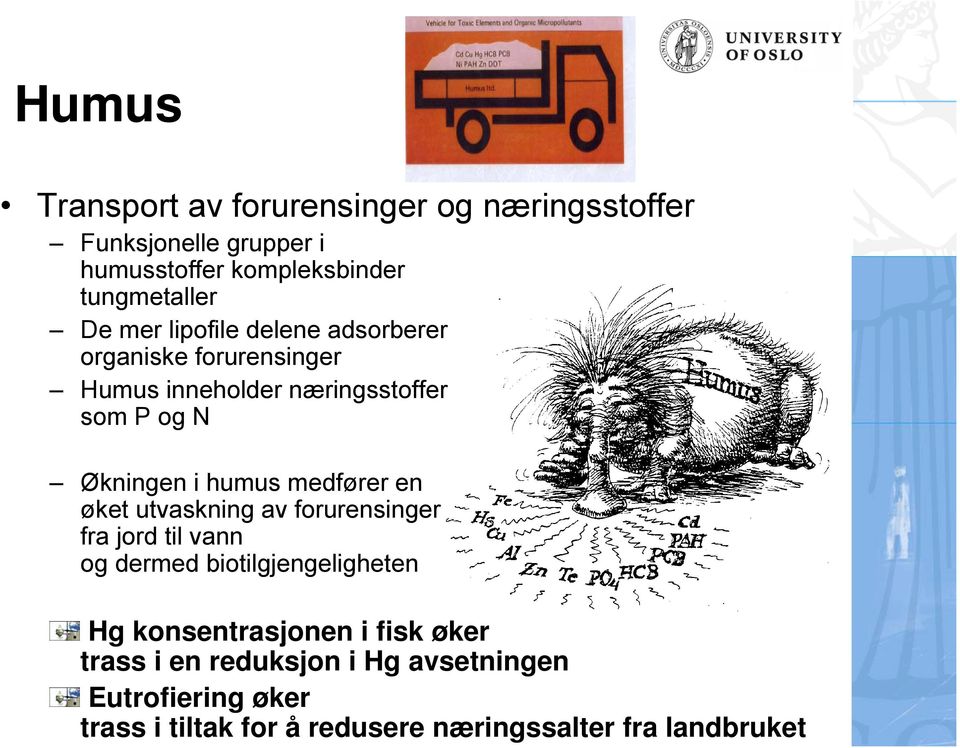 medfører en øket utvaskning av forurensinger fra jord til vann og dermed biotilgjengeligheten Hg konsentrasjonen i