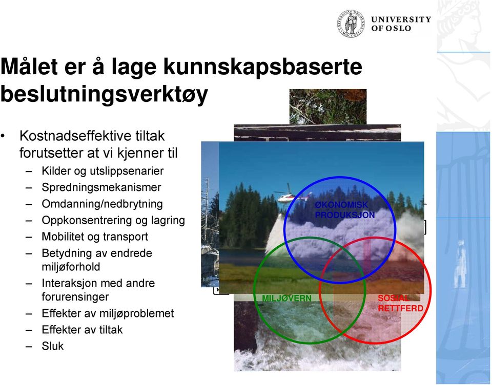 Mobilitet og transport Betydning av endrede miljøforhold Interaksjon med andre forurensinger Effekter