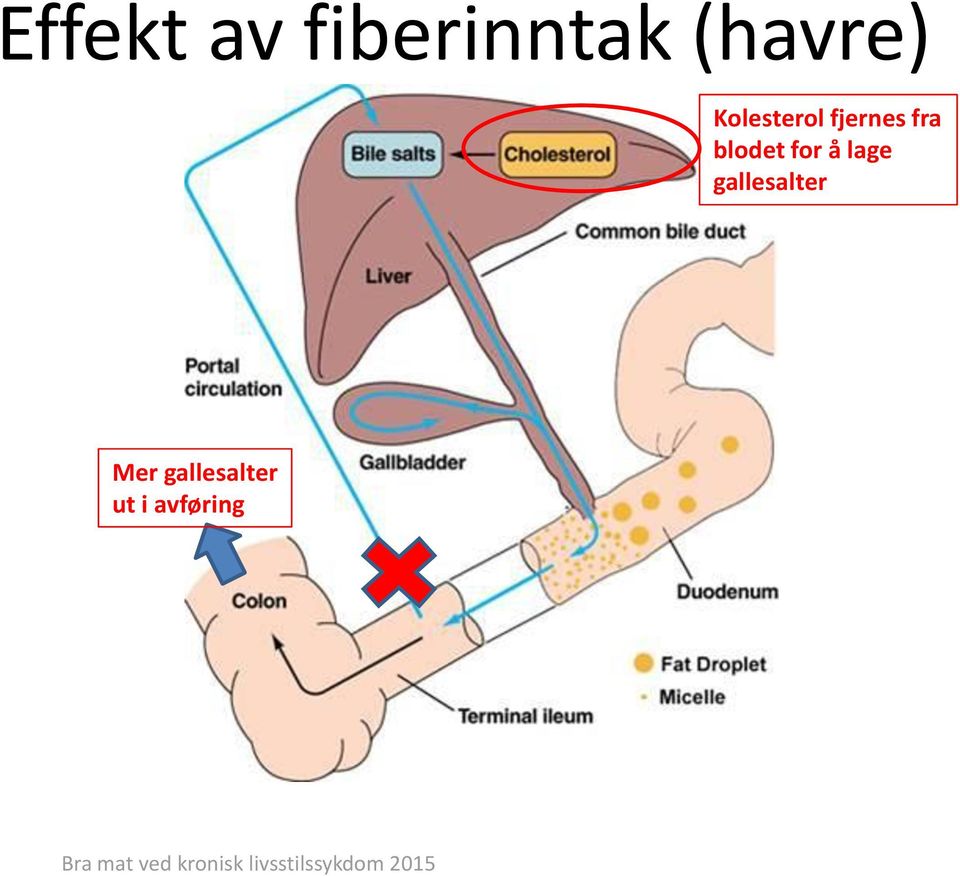 fra blodet for å lage