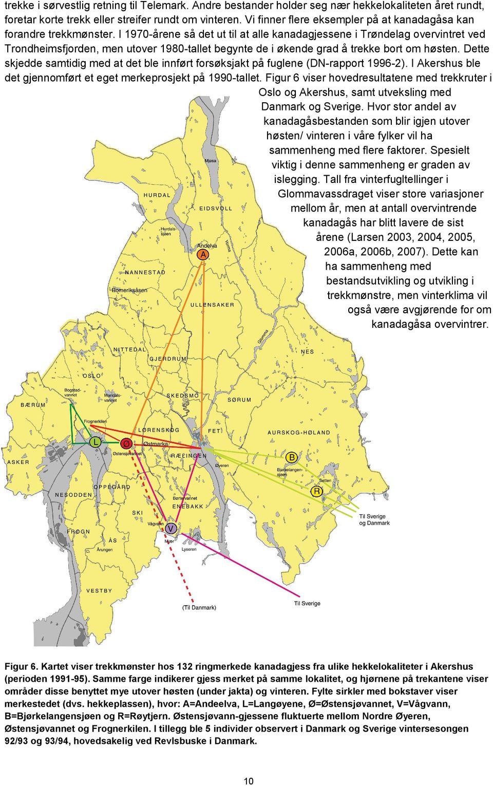 I 1970-årene så det ut til at alle kanadagjessene i Trøndelag overvintret ved Trondheimsfjorden, men utover 1980-tallet begynte de i økende grad å trekke bort om høsten.