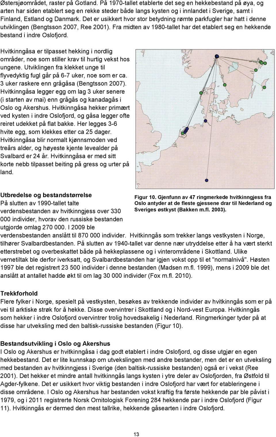 Det er usikkert hvor stor betydning rømte parkfugler har hatt i denne utviklingen (Bengtsson 2007, Ree 2001). Fra midten av 1980-tallet har det etablert seg en hekkende bestand i indre Oslofjord.