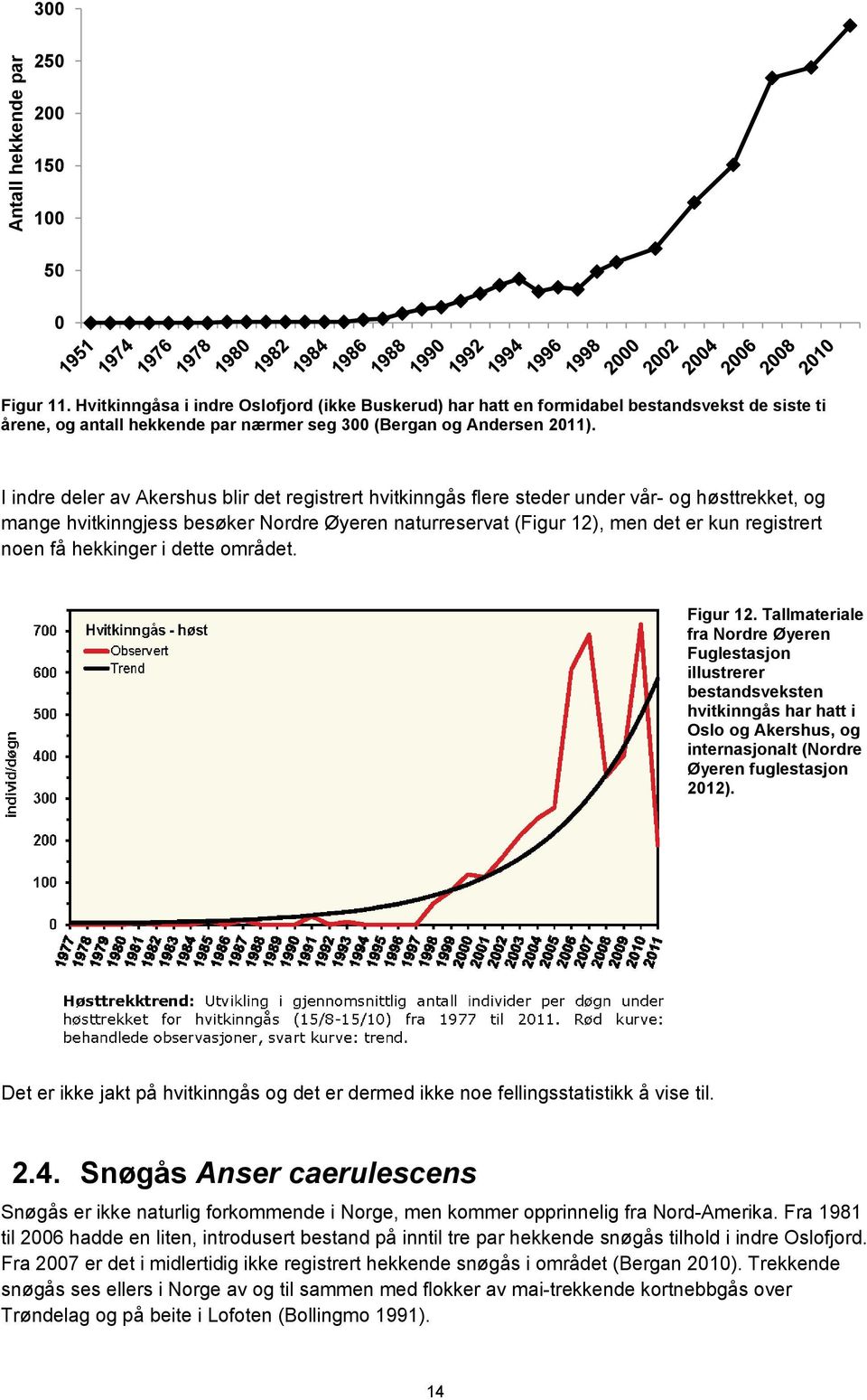 I indre deler av Akershus blir det registrert hvitkinngås flere steder under vår- og høsttrekket, og mange hvitkinngjess besøker Nordre Øyeren naturreservat (Figur 12), men det er kun registrert noen