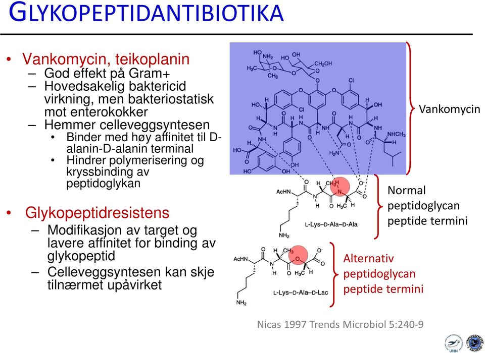 av peptidoglykan Glykopeptidresistens Modifikasjon av target og lavere affinitet for binding av glykopeptid Celleveggsyntesen kan skje