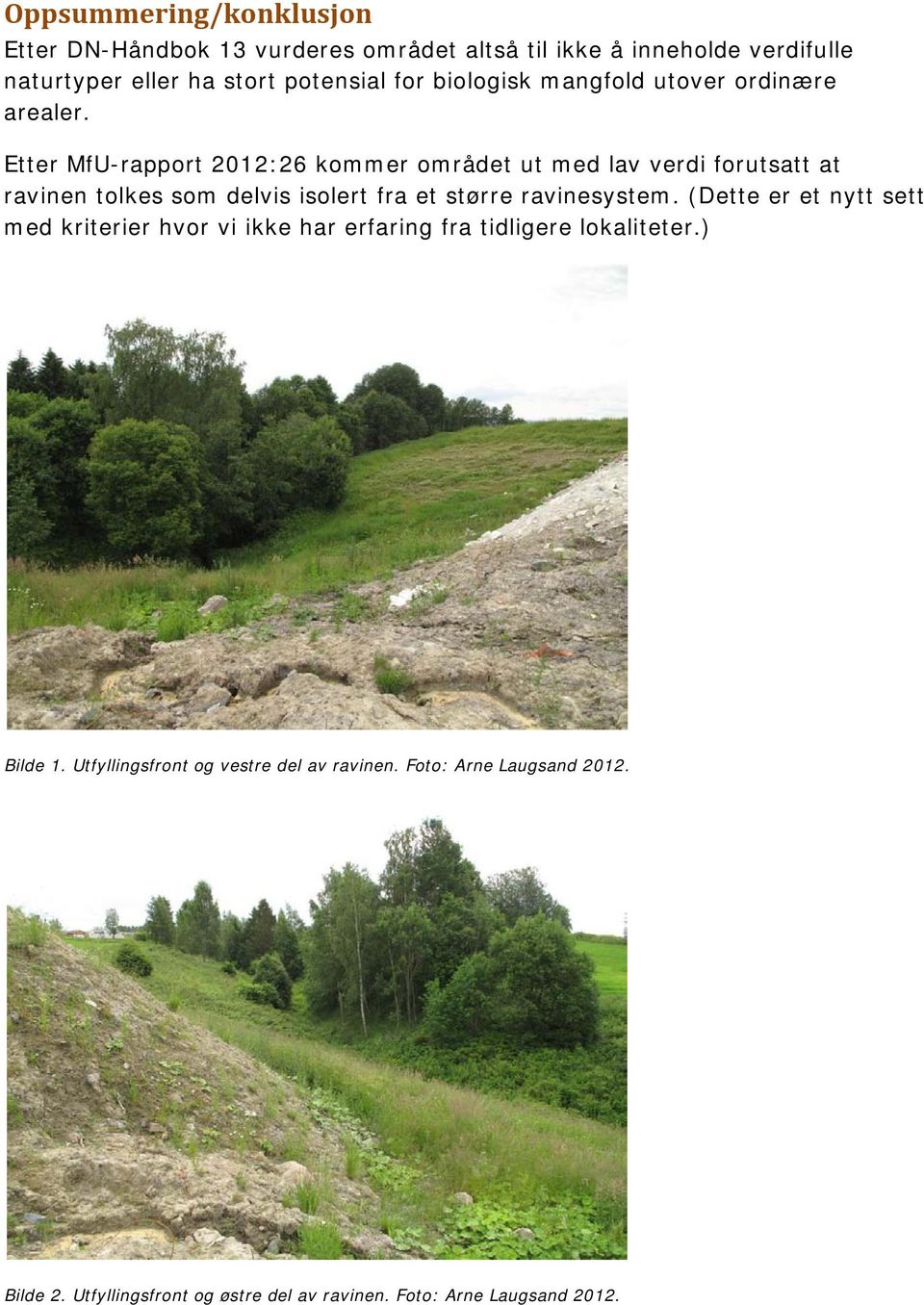 Etter MfU-rapport 2012:26 kommer området ut med lav verdi forutsatt at ravinen tolkes som delvis isolert fra et større ravinesystem.