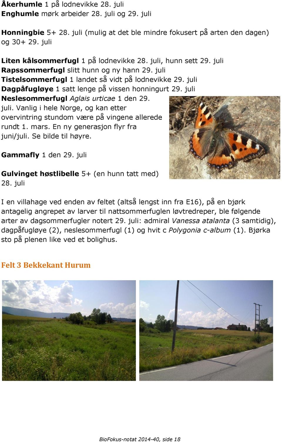 juli Dagpåfugløye 1 satt lenge på vissen honningurt 29. juli Neslesommerfugl Aglais urticae 1 den 29. juli. Vanlig i hele Norge, og kan etter overvintring stundom være på vingene allerede rundt 1.