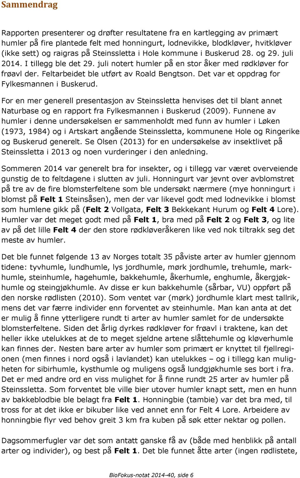 Det var et oppdrag for Fylkesmannen i Buskerud. For en mer generell presentasjon av Steinssletta henvises det til blant annet Naturbase og en rapport fra Fylkesmannen i Buskerud (2009).