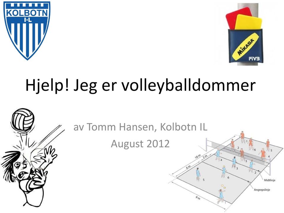 volleyballdommer