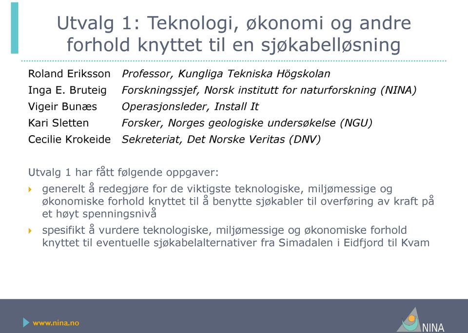 Krokeide Sekreteriat, Det Norske Veritas (DNV) Utvalg 1 har fått følgende oppgaver: generelt å redegjøre for de viktigste teknologiske, miljømessige og økonomiske forhold knyttet