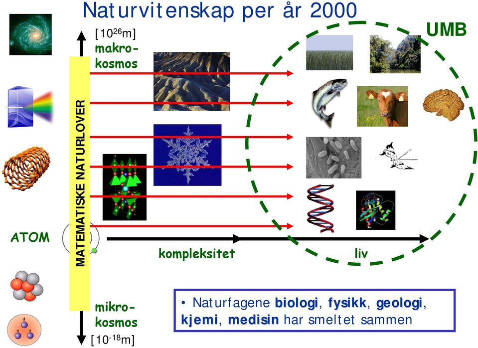 makrokosmos mikrokosmos [10-18 m] Naturfagene