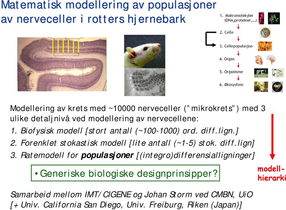 Forenklet stokastisk modell [lite antall (~1-5) stok. diff.lign] 3.