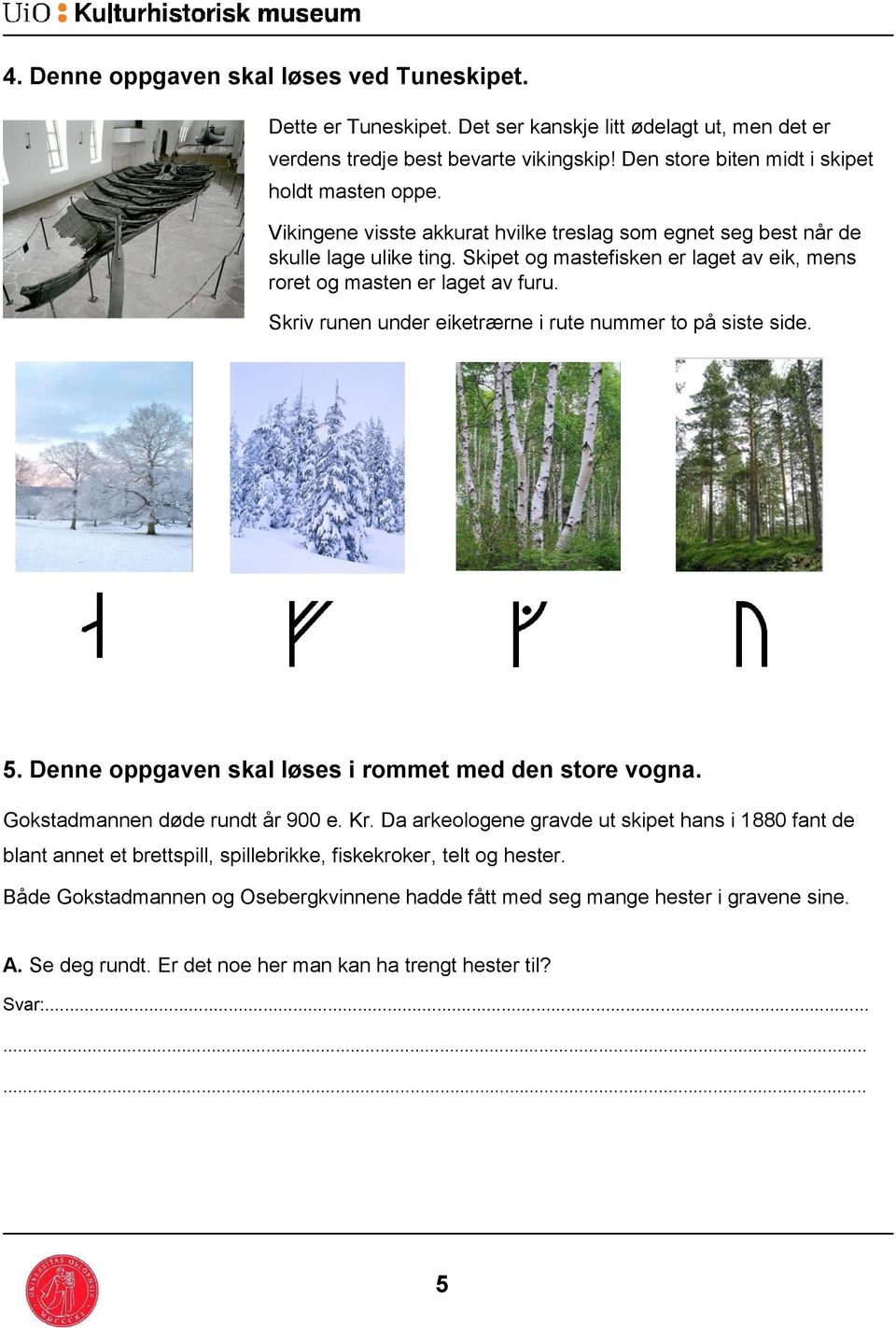 Skriv runen under eiketrærne i rute nummer to på siste side. 5. Denne oppgaven skal løses i rommet med den store vogna. Gokstadmannen døde rundt år 900 e. Kr.
