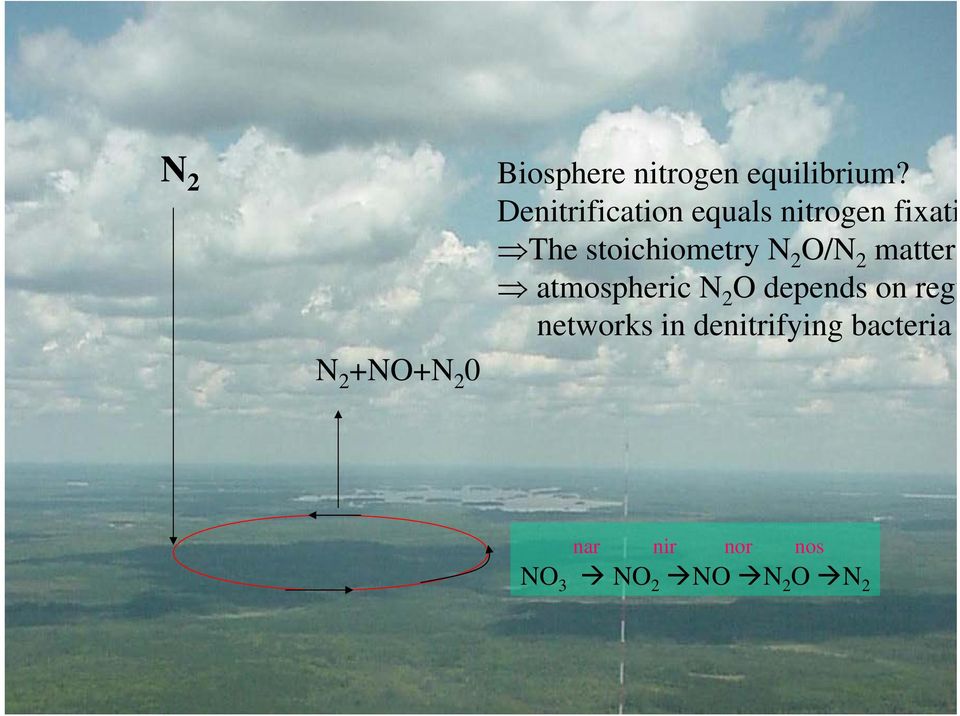 N 2 O/N 2 matter atmospheric N 2 O depends on regu