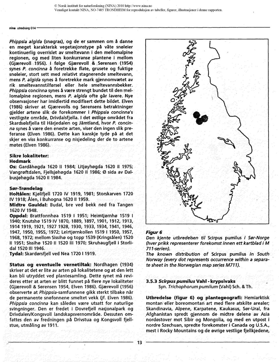 plantene i mellom (Gjærevoll 1956). I følge Gjærevoll & Sørensen (1954) synes P. concinna å foretrekke flate, grusete og fuktige snøleier, stort sett med relativt stagnerende smeltevann, mens P.