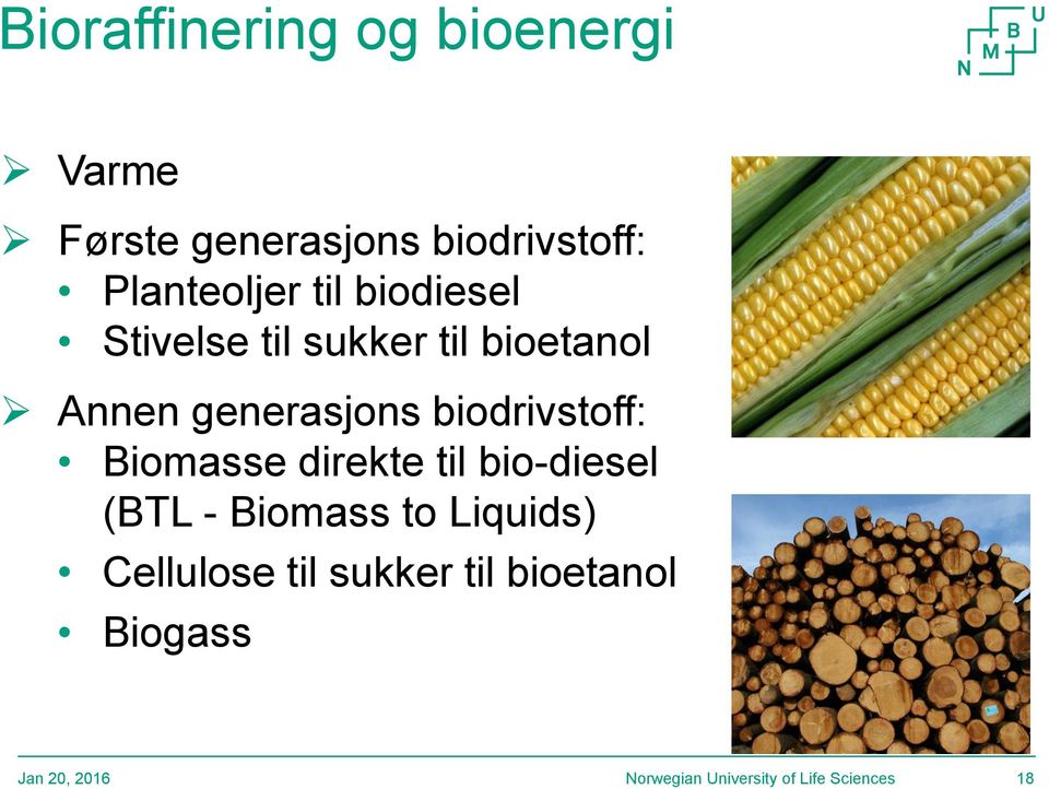 bioetanol Annen generasjons biodrivstoff: Biomasse direkte til