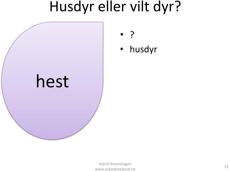 vilt dyr?