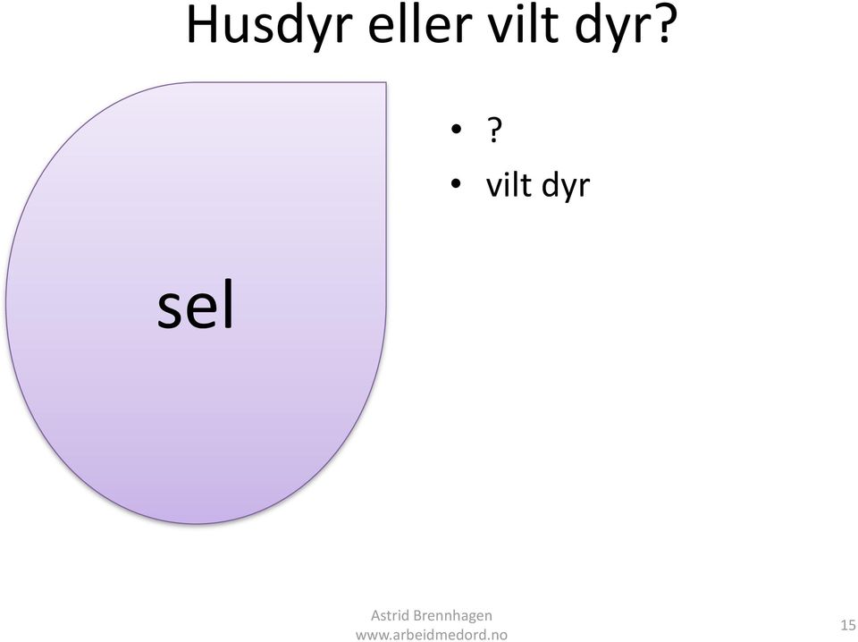 vilt dyr?