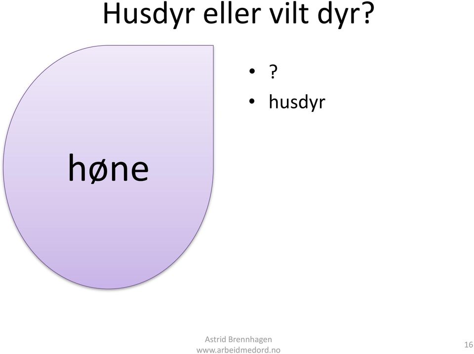 vilt dyr?