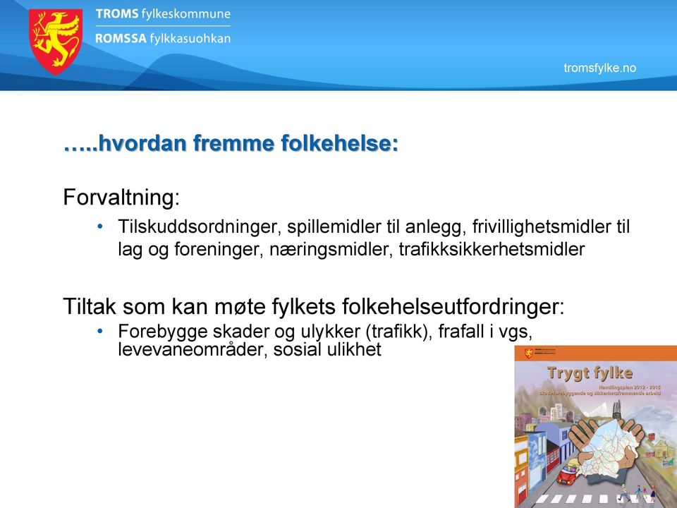 trafikksikkerhetsmidler Tiltak som kan møte fylkets folkehelseutfordringer: