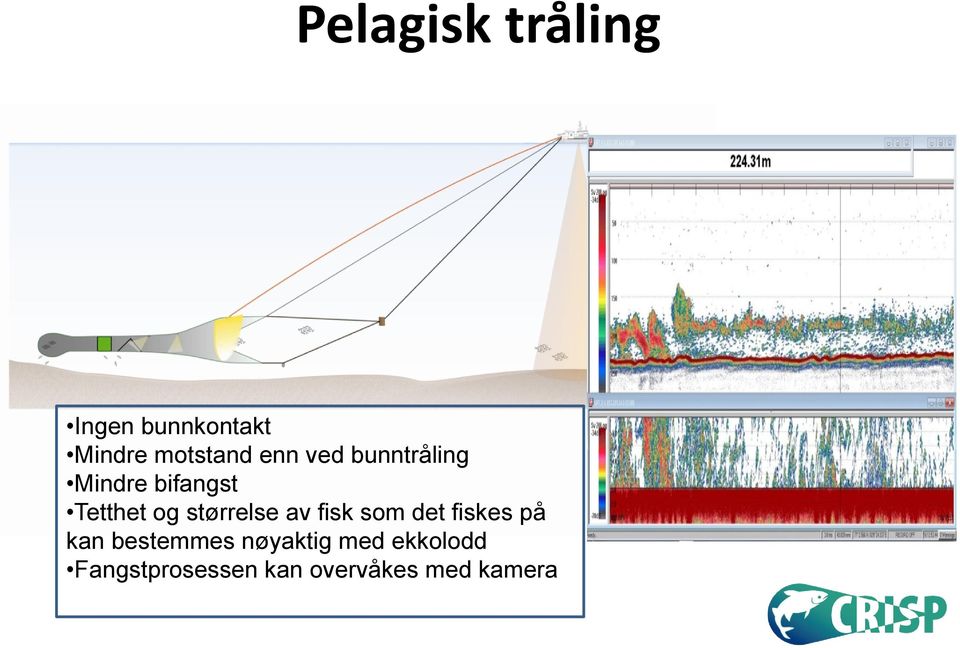 størrelse av fisk som det fiskes på kan bestemmes