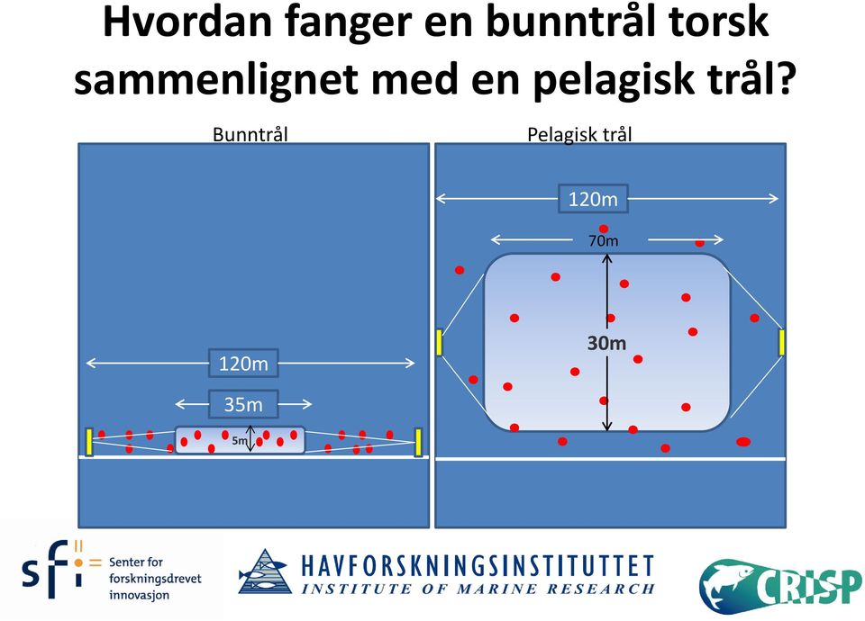 pelagisk trål?