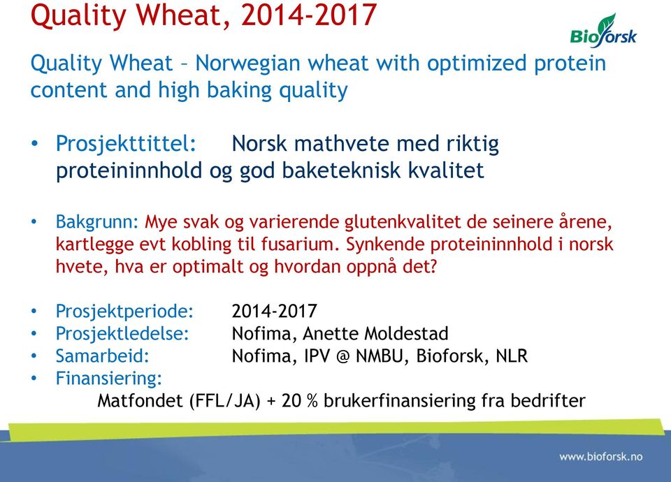 evt kobling til fusarium. Synkende proteininnhold i norsk hvete, hva er optimalt og hvordan oppnå det?