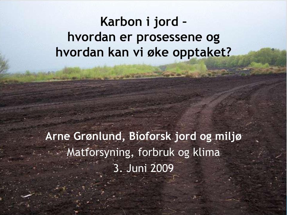 Arne Grønlund, Bioforsk jord og miljø