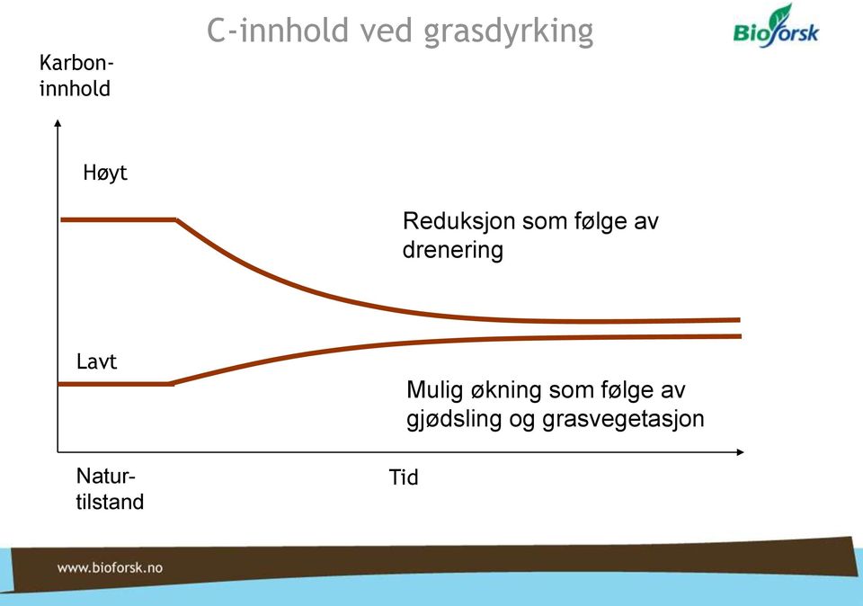 Karboninnhold Naturtilstand Tid Mulig