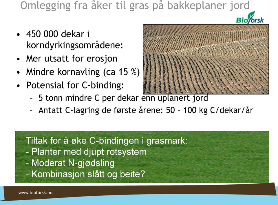 dekar enn uplanert jord Antatt C-lagring de første årene: 50 100 kg C/dekar/år Tiltak for å øke