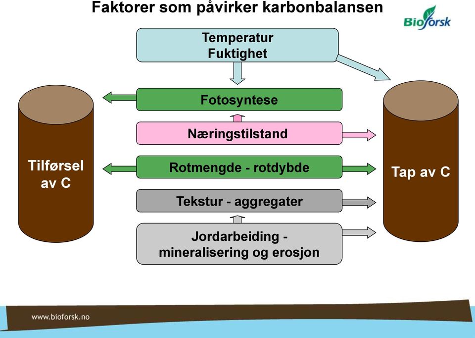 Næringstilstand Rotmengde - rotdybde Tekstur -