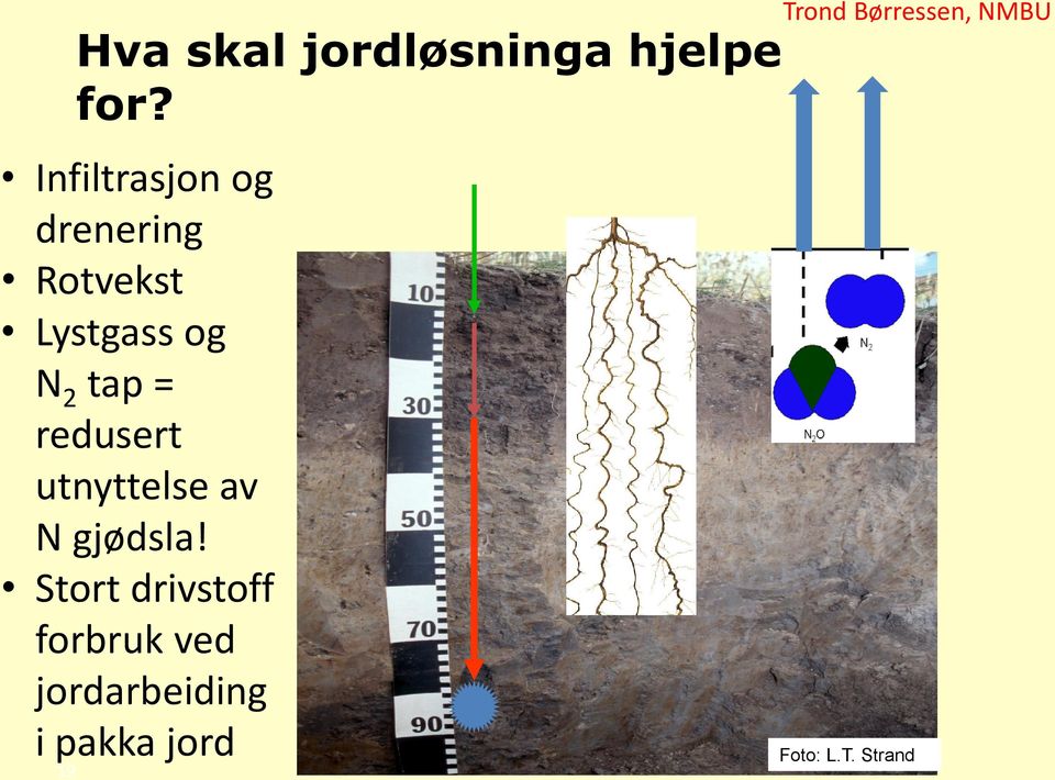 = redusert utnyttelse av N gjødsla!