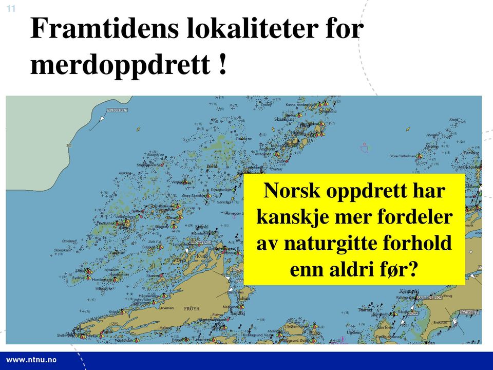 Norsk oppdrett har kanskje