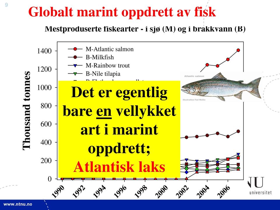 1000 M-Japanese amberjack M-Gilthead seabream 800 M-Coho salmon Japanese seabass 600 400 200 0 1990