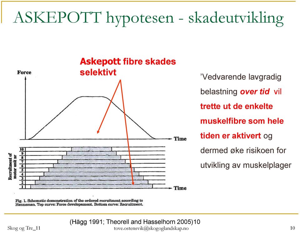 tiden er aktivert og dermed øke risikoen for utvikling av muskelplager (Hägg