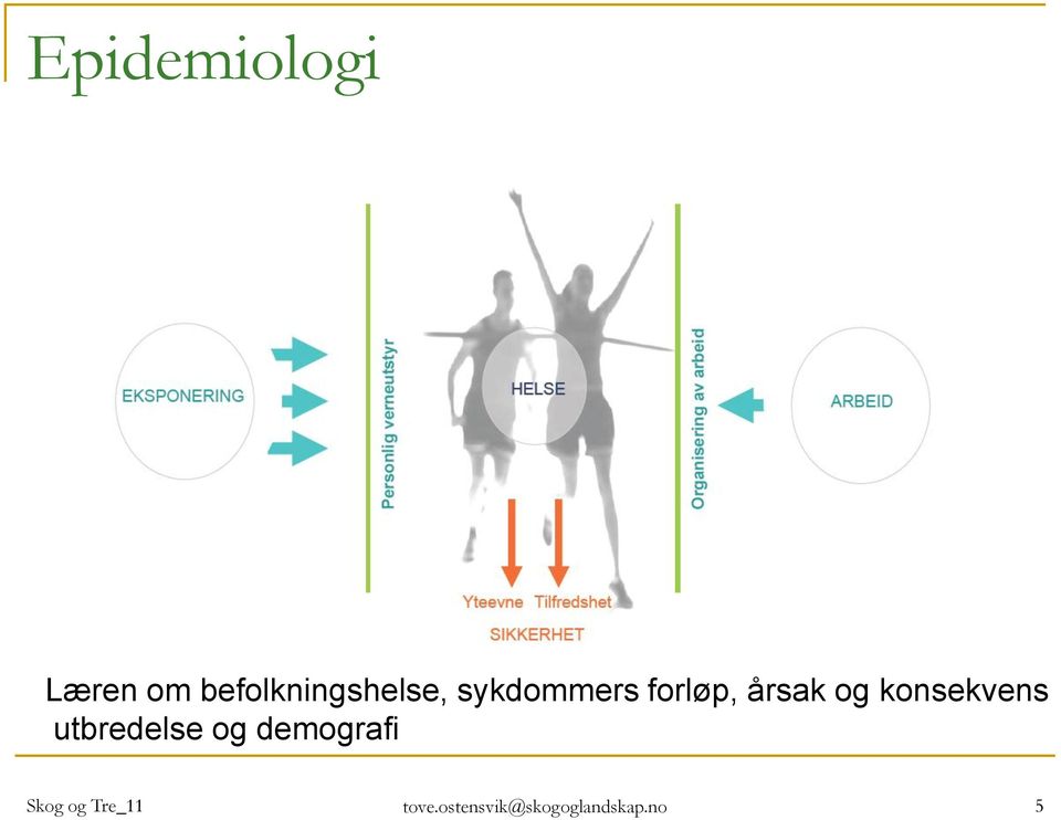 årsak og konsekvens utbredelse og