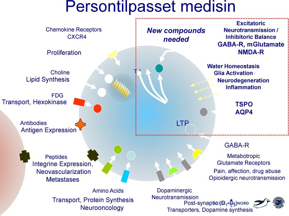 Inflammation TSPO AQP4 Peptides Integrine Expression, Neovascularization Metastases Amino Acids Transport, Protein Synthesis Neurooncology GABA-R