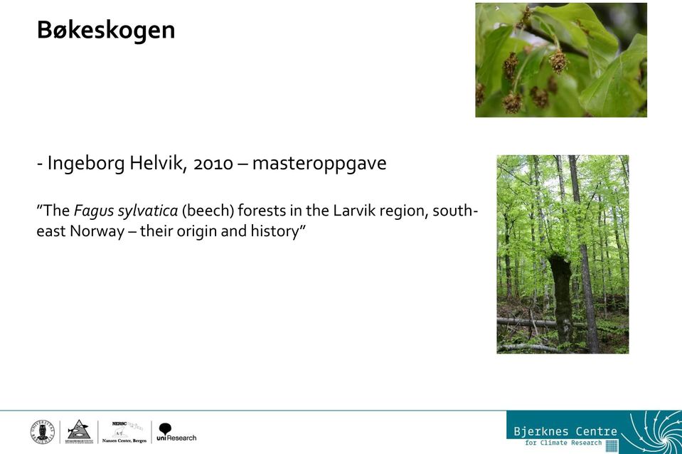 (beech) forests in the Larvik