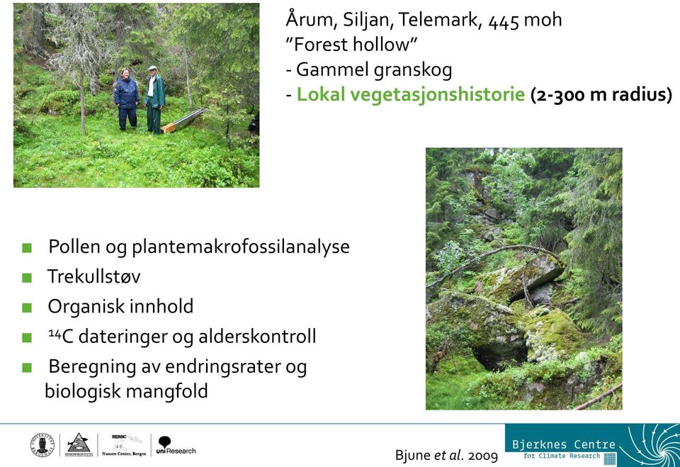 plantemakrofossilanalyse Trekullstøv Organisk innhold 14 C