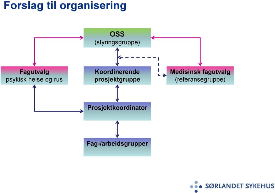 prosjektgruppe Medisinsk fagutvalg