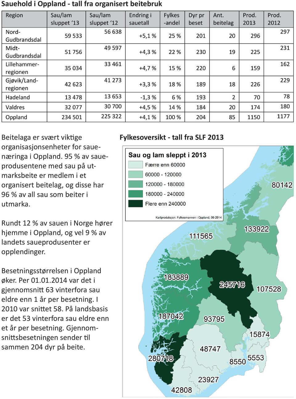 Fylkesoversikt - tall fra SLF 2013 Rundt 12 % av sauen i Norge hører hjemme i Oppland, og vel 9 % av landets saueprodusenter er opplendinger.