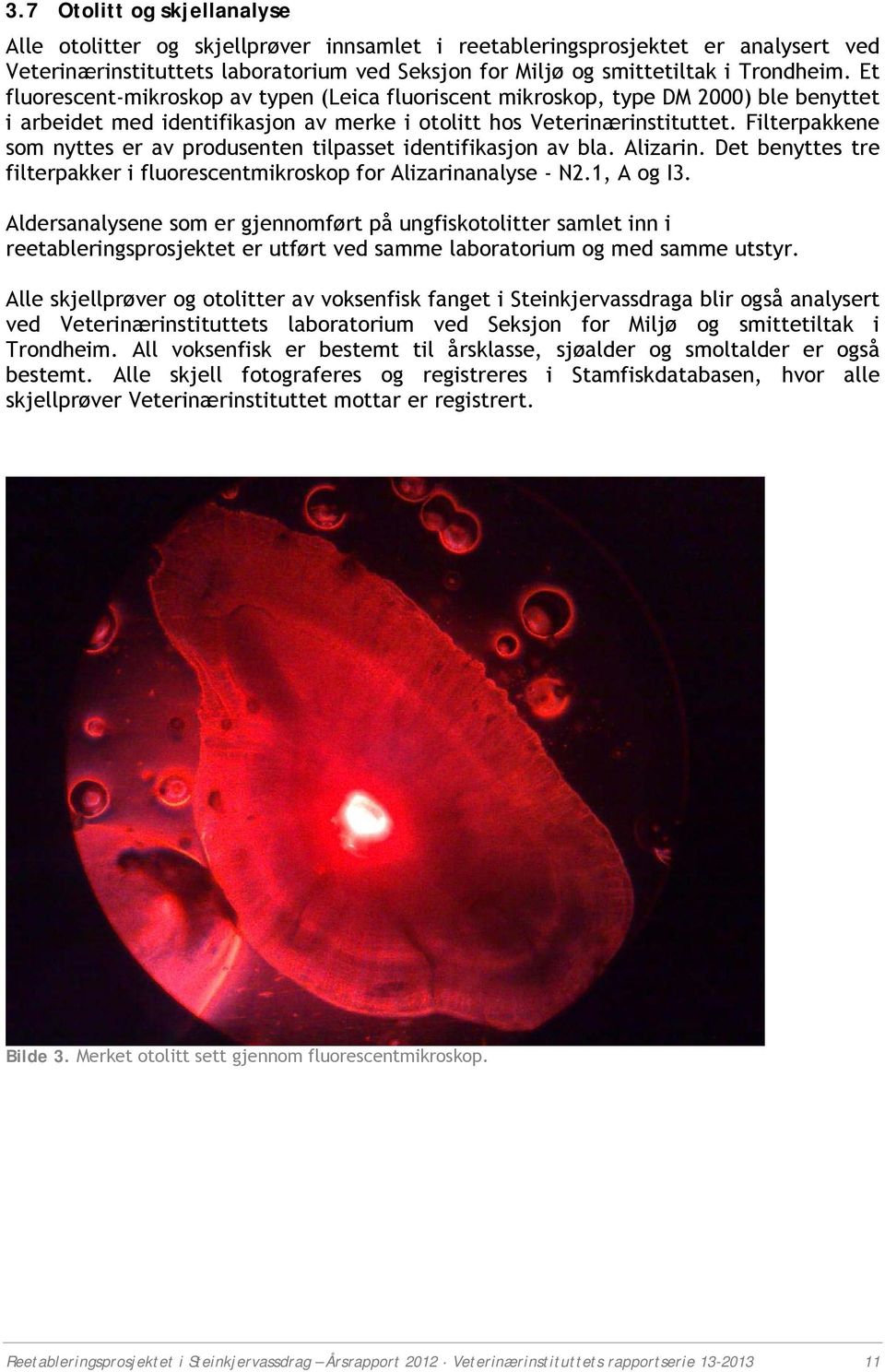 Filterpakkene som nyttes er av produsenten tilpasset identifikasjon av bla. Alizarin. Det benyttes tre filterpakker i fluorescentmikroskop for Alizarinanalyse - N2.1, A og I3.