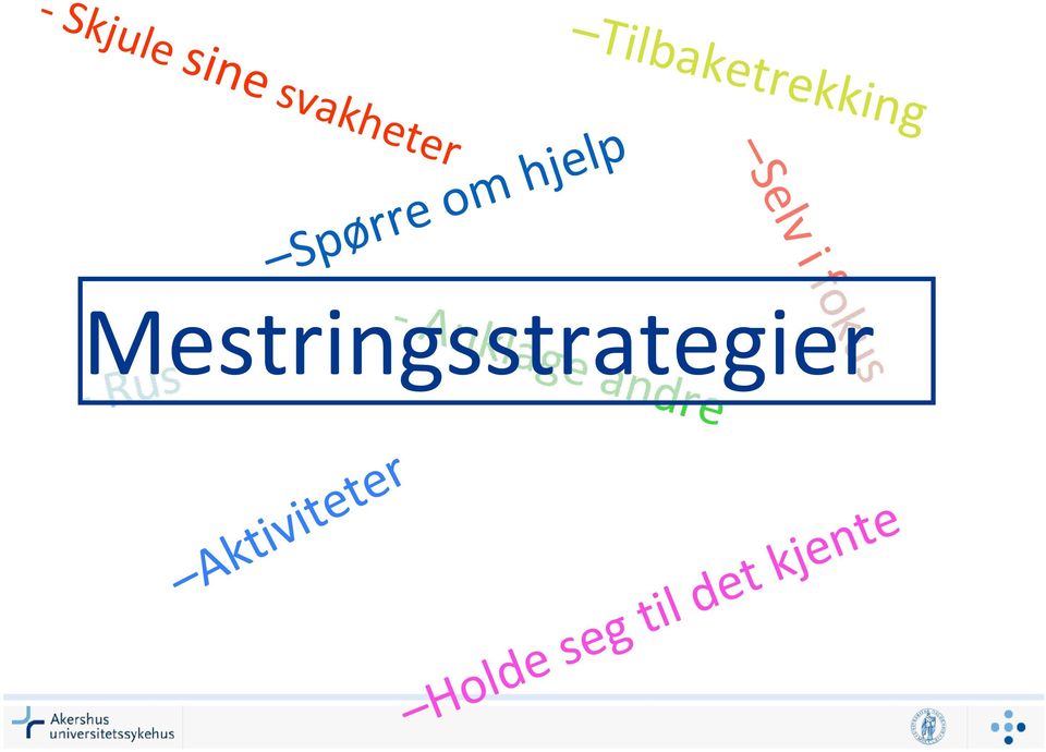 Mestringsstrategier Selv i fokus