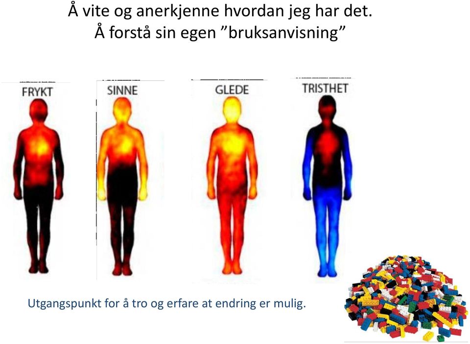 Å forstå sin egen