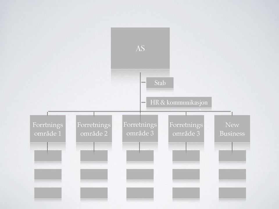 Forretnings område 2