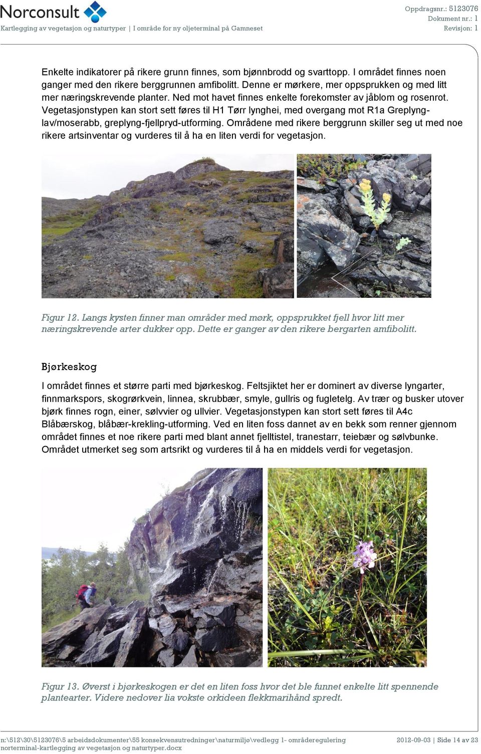 Vegetasjonstypen kan stort sett føres til H1 Tørr lynghei, med overgang mot R1a Greplynglav/moserabb, greplyng-fjellpryd-utforming.