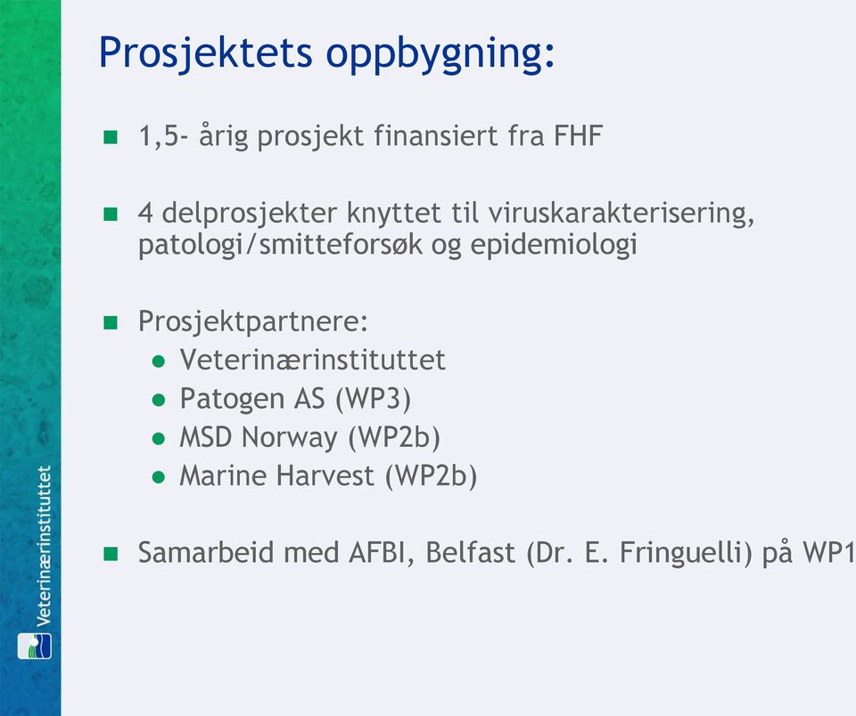 epidemiologi Prosjektpartnere: Veterinærinstituttet Patogen AS (WP3) MSD