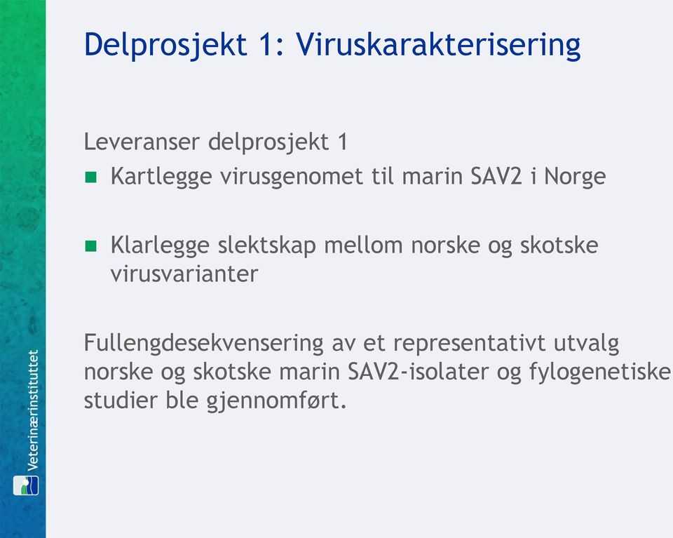 skotske virusvarianter Fullengdesekvensering av et representativt utvalg